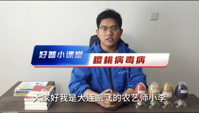 好普小课堂 樱桃病毒病
